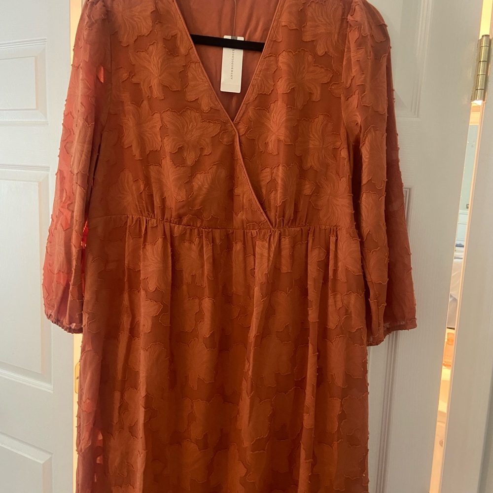 Anthropologie Dress. NWT!